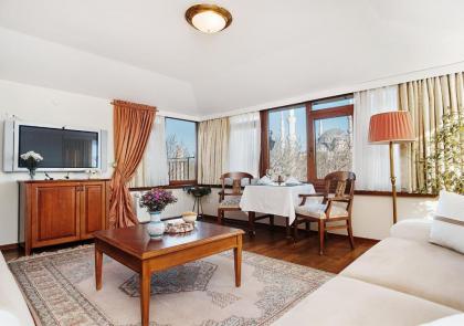 Alzer Hotel Istanbul - image 10