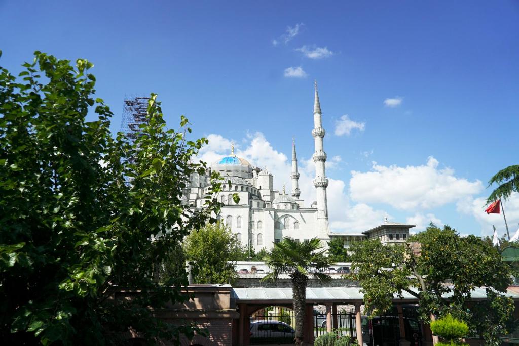 Sultanahmet Palace Hotel - image 6