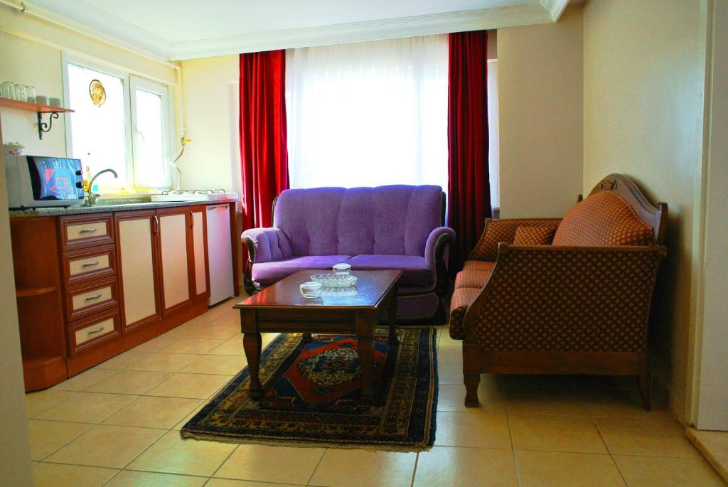 Emirhan Inn Apart Hotel - Sultanahmet Old City - image 6