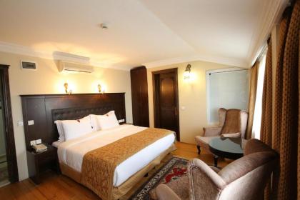 Tria Hotel Istanbul-Special Category - image 9