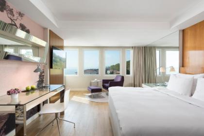 Radisson Blu Bosphorus Hotel - image 15