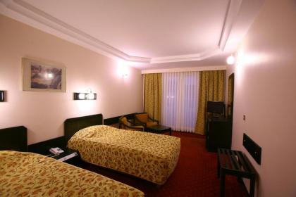 Istanbul Royal Hotel - image 6