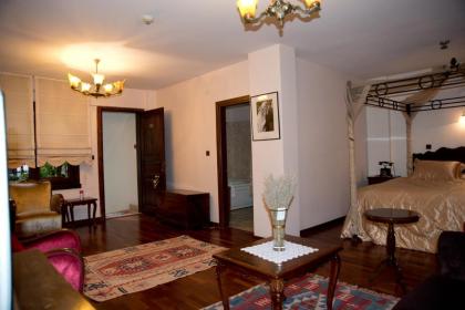 Villa Sphendone Suites Istanbul - image 20