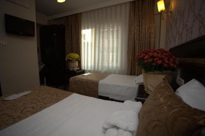 Sultanahmet Park Hotel - image 11