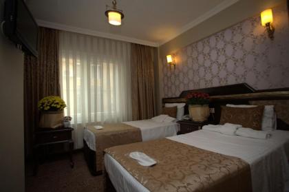 Sultanahmet Park Hotel - image 13