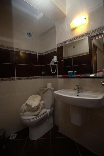 Sultanahmet Park Hotel - image 14