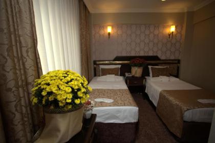 Sultanahmet Park Hotel - image 7