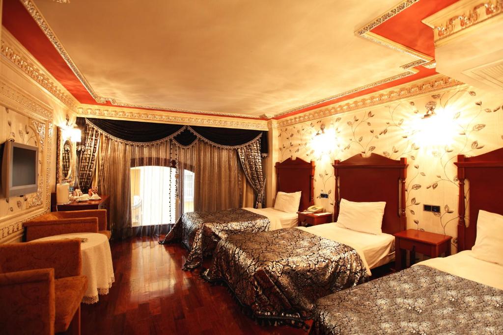 Deluxe Golden Horn Sultanahmet Hotel - image 2