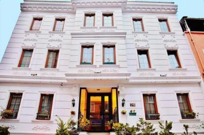 Maritime Hotel Istanbul - image 20