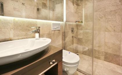 Taksim Premium Hotel - image 16