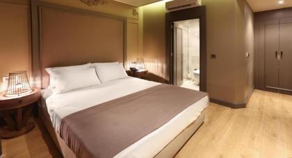 Taksim Premium Hotel - image 18