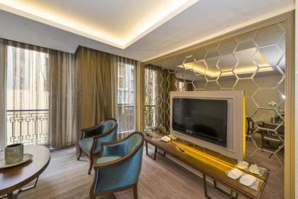 Suiteness Taksim Hotel - image 2