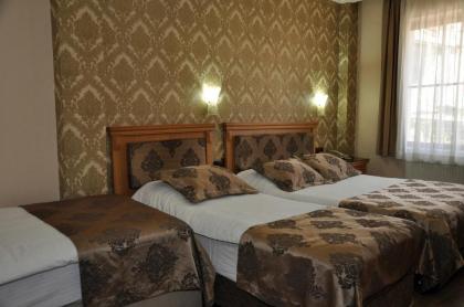 Grand Papirus Hotel - image 13