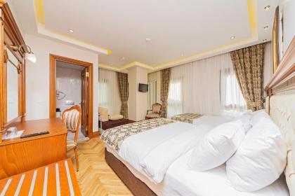 Hotel Spectra Sultanahmet - image 15