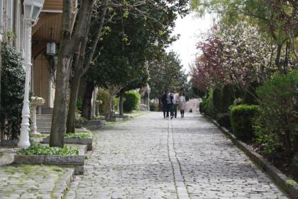 Coskun House - image 16