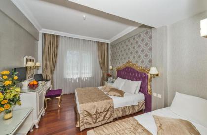 Santa Sophia Hotel - İstanbul - image 12