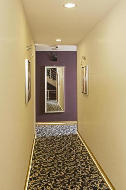 Demir Suite Hotel - image 11