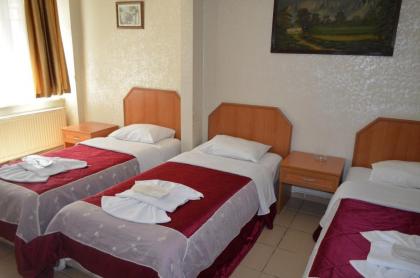 Hotel Ekol - image 12