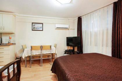 Pine Stone Apart Hotel Sultanahmet - image 8