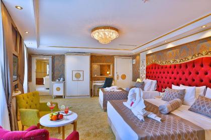 Hotel Emirhan Palace - image 10