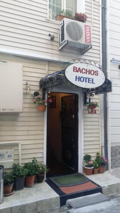 Bachos Hotel Istanbul - image 9