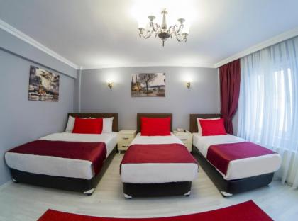Sirkeci Grand Family Hotel & SPA - image 18