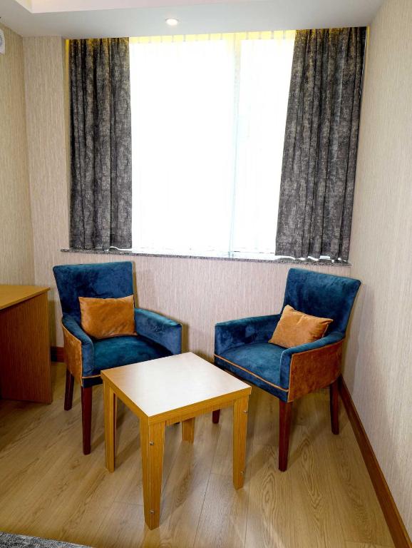 Grand Elmira Suite - image 6