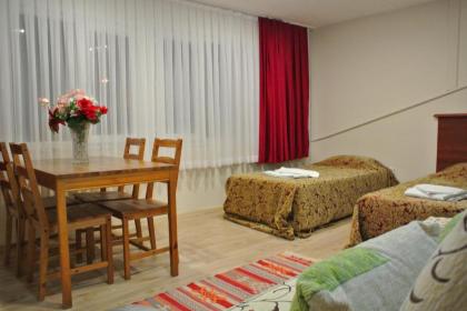 Emirhan Guesthouse & Suites - image 17