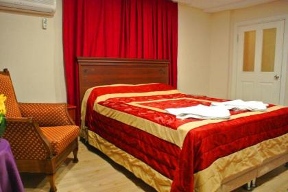 Emirhan Guesthouse & Suites - image 19