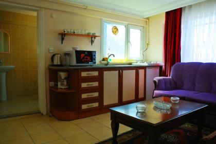 Emirhan Guesthouse & Suites - image 20