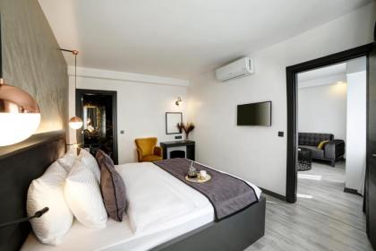 Taksim Seya Suites Hotel - image 18