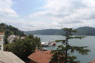 Terrace with amazing bosphorus view - image 5