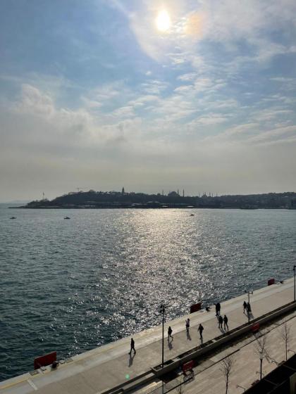 Pera Bosphorus Hotel - image 6