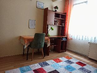 Private room in the center of Istanbul(Only Room)  - image 2