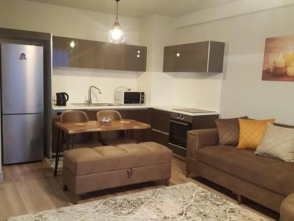 Tourist rent Apartment Istanbul 