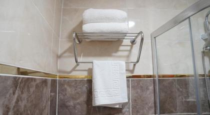 Aras Istanbul Hotel & Suites - image 20