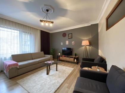 Stylish Flat near Pera Museum in Beyoglu - image 1