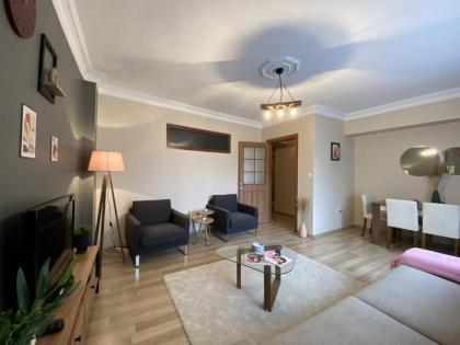 Stylish Flat near Pera Museum in Beyoglu - image 2