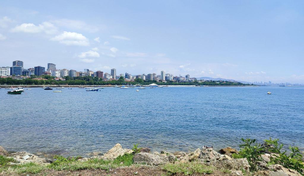 Unique House with Tree Inside near Sea in Maltepe - image 4