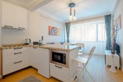 Spectacular Flat near Bull Statue in Kadikoy - image 14