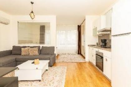 Studio Flat with Gym 10 min to City's Mall - image 3