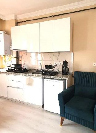 Ariya Yildiz 4 Rental Apart 11 neat Taksim sq 404 - image 3