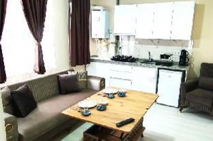 Ariya Yildiz 4 Rental Apart 11 near Taksim sq 402 - image 8