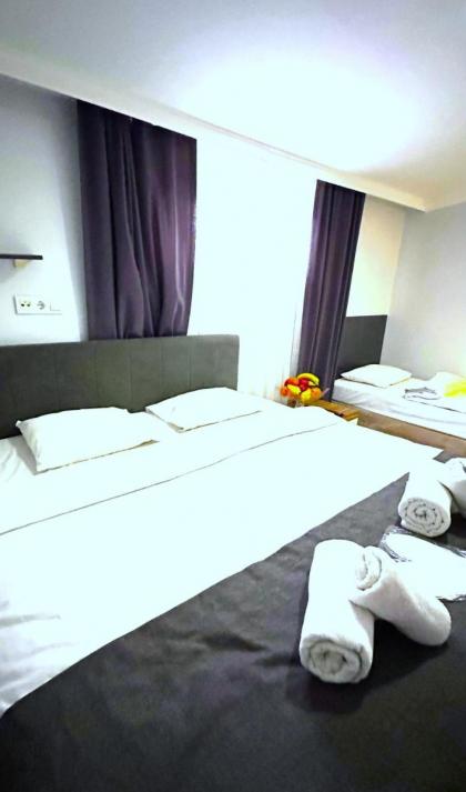 Istanbul Altun Life Hotel - image 3