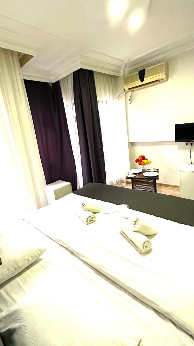 Istanbul Altun Life Hotel - image 7