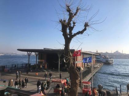 A Beachfront Peninsula View Apartment in Karaköy - image 19