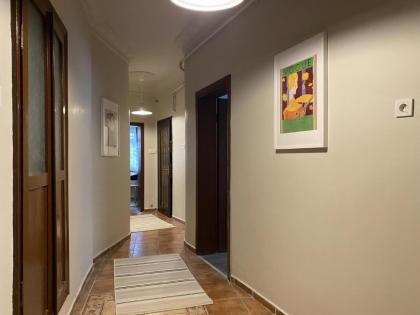 Capacious Flat Near Taksim Square in Beyoglu - image 12