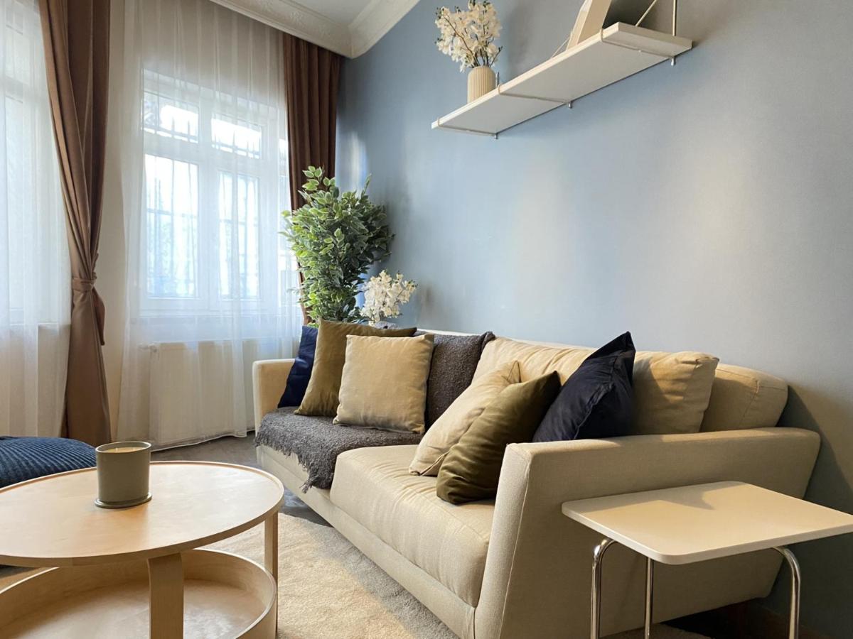 Capacious Flat Near Taksim Square in Beyoglu - image 2