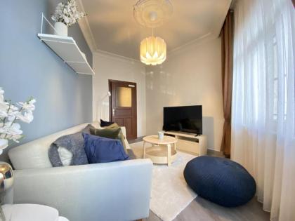 Capacious Flat Near Taksim Square in Beyoglu - image 3