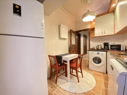 Capacious Flat Near Taksim Square in Beyoglu - image 8